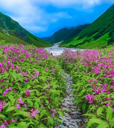 Valley of Flowers_1 