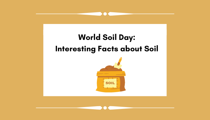 world soil day_1 &nb
