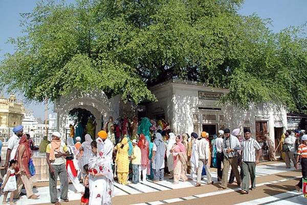 Darbar sahib_1  