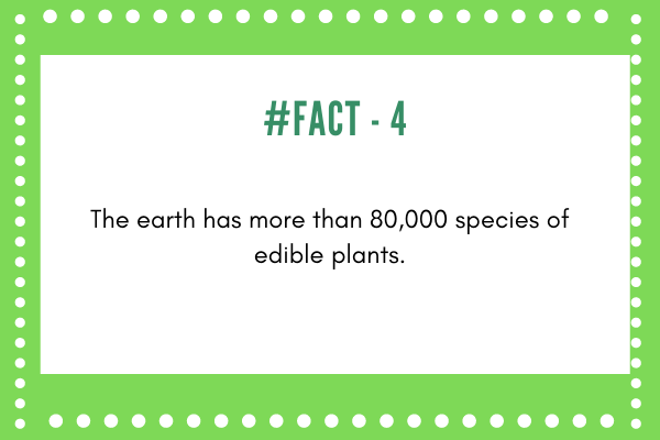 Facts about plants _1&nbs