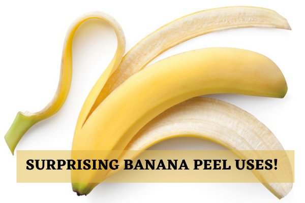 banana peels_1  