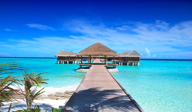 Maldives_1  H x