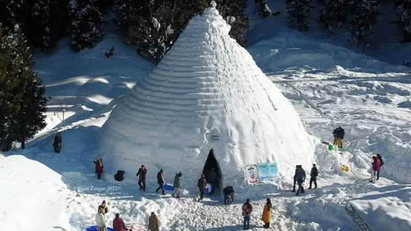 Igloo Cafe 